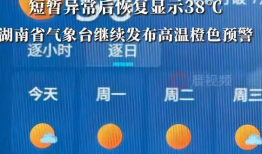 天气预报视频,视频解析今日气温、降水及风力状况”