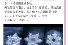 水知道答案视频完整版,科学实证与心灵奥秘的完美融合