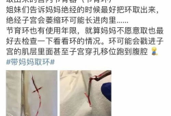 带环视频,揭秘带环视频的精彩瞬间